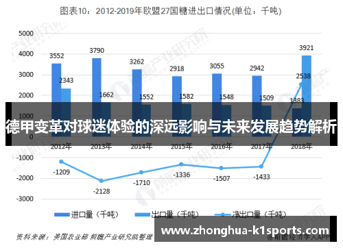 德甲变革对球迷体验的深远影响与未来发展趋势解析