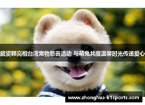 戴资颖亮相台湾宠物慈善活动 与萌兔共度温馨时光传递爱心