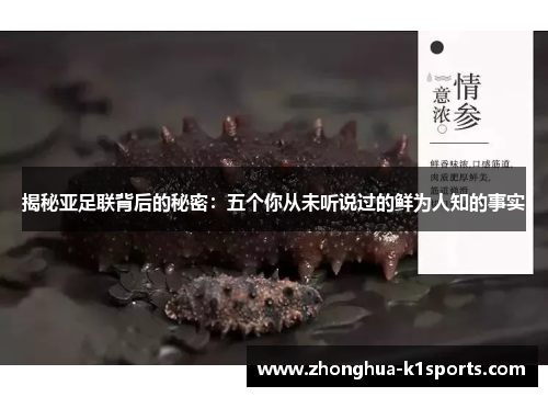 揭秘亚足联背后的秘密：五个你从未听说过的鲜为人知的事实